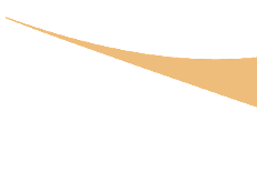 tri_left.gif (932 bytes)